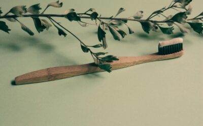 Beyond Brushing and Flossing: Alternative Techniques for Optimal Oral Health